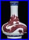 10-6Yongzheng-Marked-Blue-White-Glaze-Red-Dragon-Pattern-Porcelain-Bottle-Vase-01-jms
