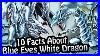 10-Facts-About-The-Blue-Eyes-White-Dragon-You-Absolutely-Must-Know-Yu-Gi-Oh-01-khlz