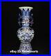 11-China-Blue-white-Porcelain-Dragon-Double-Earing-Dynasty-Flower-Bottle-Vase-01-qdm