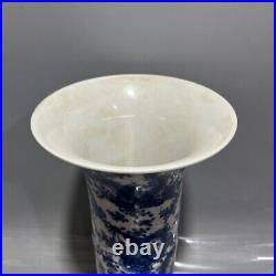 16.8 Rare China Porcelain Qing Dynasty Kangxi Blue white Dragon pattern bottle