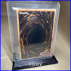 1st Edition, Blue-eyes White Dragon 1/1 On eBay