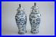 2-Pcs-Antique-Chinese-Porcelain-Blue-and-White-Dragon-Vase-with-Lid-Marks-01-xlgm