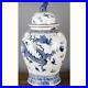 24-Chinese-oriental-porcelain-ginger-jar-blue-white-lion-finial-dragon-01-ll