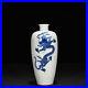 9-5-China-Old-qing-dynasty-Porcelain-kangxi-mark-Blue-white-Dragon-pattern-vase-01-cf