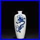 9-5-China-Old-qing-dynasty-Porcelain-kangxi-mark-Blue-white-Dragon-pattern-vase-01-ou