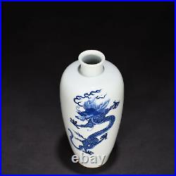 9.5 China old qing dynasty Porcelain kangxi mark Blue white Dragon pattern vase