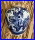 Antique-19th-C-Chinese-Ginger-Jar-Blue-White-Dragon-Empress-Scene-01-lv