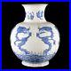Antique-Chinese-Blue-White-Porcelain-Emperor-Five-Claws-Dragons-Vase-01-xk