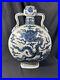 Antique-Moon-Vase-14-Qianlong-Chinese-Blue-white-Porcelain-Dragon-01-vqd