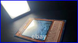 Blue Eyes Alternative White Dragon GHOST RARE RC02-KR000 NM+