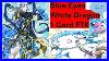 Blue-Eyes-White-Dragon-1-Card-Ftk-Crush-The-Meta-01-scfv