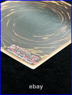 Blue Eyes White Dragon 1st Edition Rare Holographic NA English YUGIOH Card