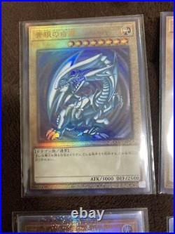 Blue-Eyes White Dragon Bulk Sale