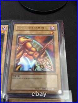 Blue Eyes White Dragon Dark Magician Card Lot