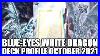 Blue-Eyes-White-Dragon-Deck-Profile-October-2021-Yugioh-01-re