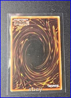 Blue-Eyes White Dragon LOB-001 The Legend of Blue Eyes White Dragon 1st Edition Blue-Eyes White Dragon LOB-001 The Legend of Blue Eyes White Dragon 1st Edition
