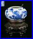 Blue-White-Porcelain-Calligraphy-Water-Pot-Qing-Guangxu-Dragon-Motif-19-20th-C-01-vnx