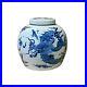 Chinese-Blue-White-Dragon-Graphic-Porcelain-Ginger-Jar-ws1238-01-ea