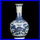 Chinese-Blue-white-Porcelain-HandPainte-Exquisite-Dragon-Pattern-Vase-10906-01-fnxx