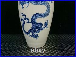 Chinese Blue&white Porcelain HandPainted Exquisite Dragon Pattern Vase 24726