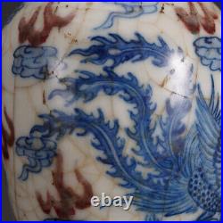 Chinese Blue&white Porcelain HandPainted Exquisite Dragon&Phoenix Vase 21537