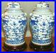 Chinese-TEMPLE-JAR-LAMPS-Pair-Blue-White-Ginger-Jar-Porcelain-Dragons-Vases-5N-01-bxag