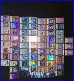 Complete Complete Blue-Eyes White Dragon Deck Tournament Rdy with new support Complete Complete Blue-Eyes White Dragon Deck Tournament Rdy with new support