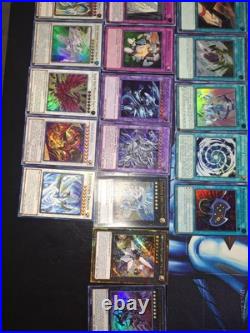 Complete Complete Blue-Eyes White Dragon Deck Tournament Rdy with new support Complete Complete Blue-Eyes White Dragon Deck Tournament Rdy with new support