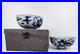 Pair-of-Antique-Chinese-Blue-White-Dragon-Bowls-with-Daoguang-Mark-in-Padded-Box-01-cgqn