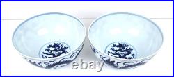 Pair of Antique Chinese Blue & White Dragon Bowls with Daoguang Mark in Padded Box Pair of Antique Chinese Blue & White Dragon Bowls with Daoguang Mark in Padded Box