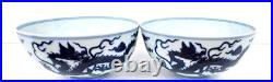 Pair of Antique Chinese Blue & White Dragon Bowls with Daoguang Mark in Padded Box Pair of Antique Chinese Blue & White Dragon Bowls with Daoguang Mark in Padded Box