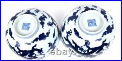 Pair of Antique Chinese Blue & White Dragon Bowls with Daoguang Mark in Padded Box Pair of Antique Chinese Blue & White Dragon Bowls with Daoguang Mark in Padded Box