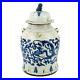 Vintage-Style-Blue-and-White-Brush-Stroke-Dragon-Motif-Porcelain-Temple-Jar-19-01-zm
