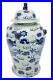 Vintage-Style-Blue-and-White-Chinese-Porcelain-Temple-Jar-Dragon-Motif-18-01-eepx