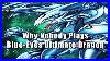 Why-Nobody-Plays-Blue-Eyes-Ultimate-Dragon-01-osw