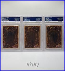 Yu-Gi-Oh! Dark Duel Stories DDS 001 002 003 PSA 10 Blue-eyes White Dragon Promo Yu-Gi-Oh! Dark Duel Stories DDS 001 002 003 PSA 10 Blue-eyes White Dragon Promo