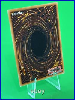 Yu-Gi-Oh Monster Mayhem Blue-Eyes White Dragon Starlight Rare BLMM-EN001 NM