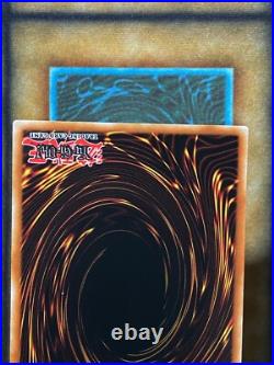 Yugioh Blue-Eyes White Dragon GLD5-EN001 Gold Ghost Rare FOIL SHIFT MISPRINT VLP Yugioh Blue-Eyes White Dragon GLD5-EN001 Gold Ghost Rare FOIL SHIFT MISPRINT VLP